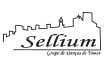 Thomar Sellium - Associação de desporto, dança e música